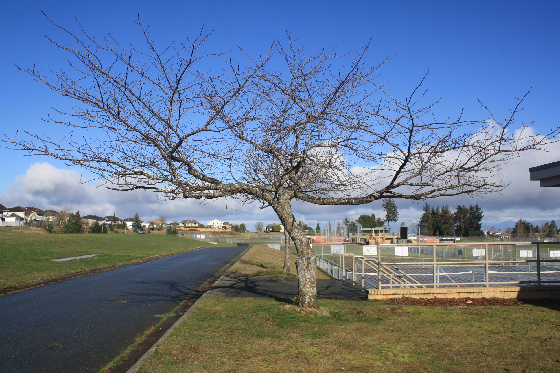 Nanaimo Dover Bay (ѧ) 