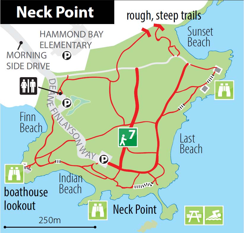 neck point park map.jpg