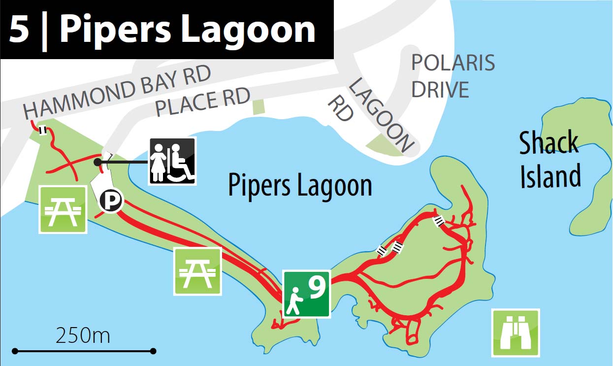 Pipers Lagoon park.jpg