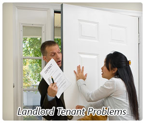 Landlord.jpg