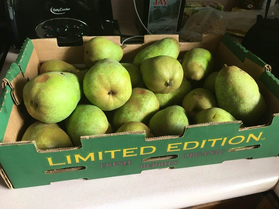 3c.jpg