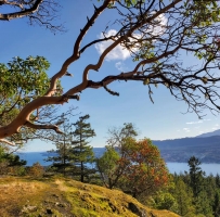 Nanoose Bay Notch HillСɽ