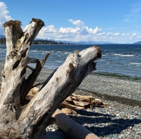 qualicum beach԰