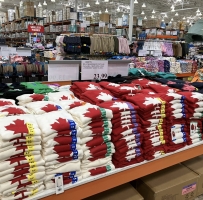 ôڵı׼