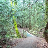 Chemainus Lake Park