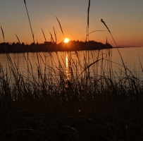 Parksville԰¶ֲֻ