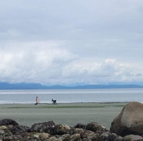 Qualicum beachֹϺ