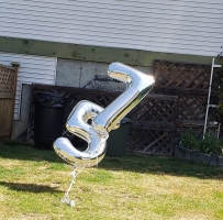 ȥ껹ڵף