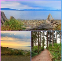 ƻеRathtrevor Park in Parksville