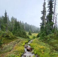 Mount Washington