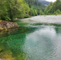 Taylor river