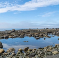 Port Renfrew Hiking