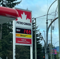 如此高的油价还出门吗