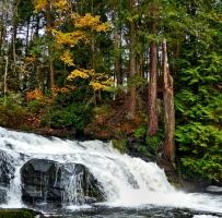 Bowen Park