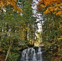 Colliery Dam Park and Granny Falls