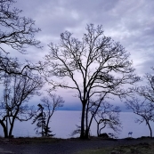 2026��һ�������߹��