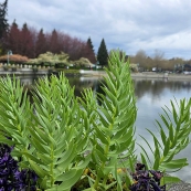 Downtown������Ũ