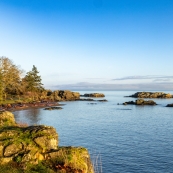 ��ѩ�Ķ����ɺÿ�