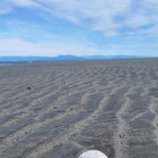 ���������ոպ�