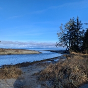 û���ŵ�һ������