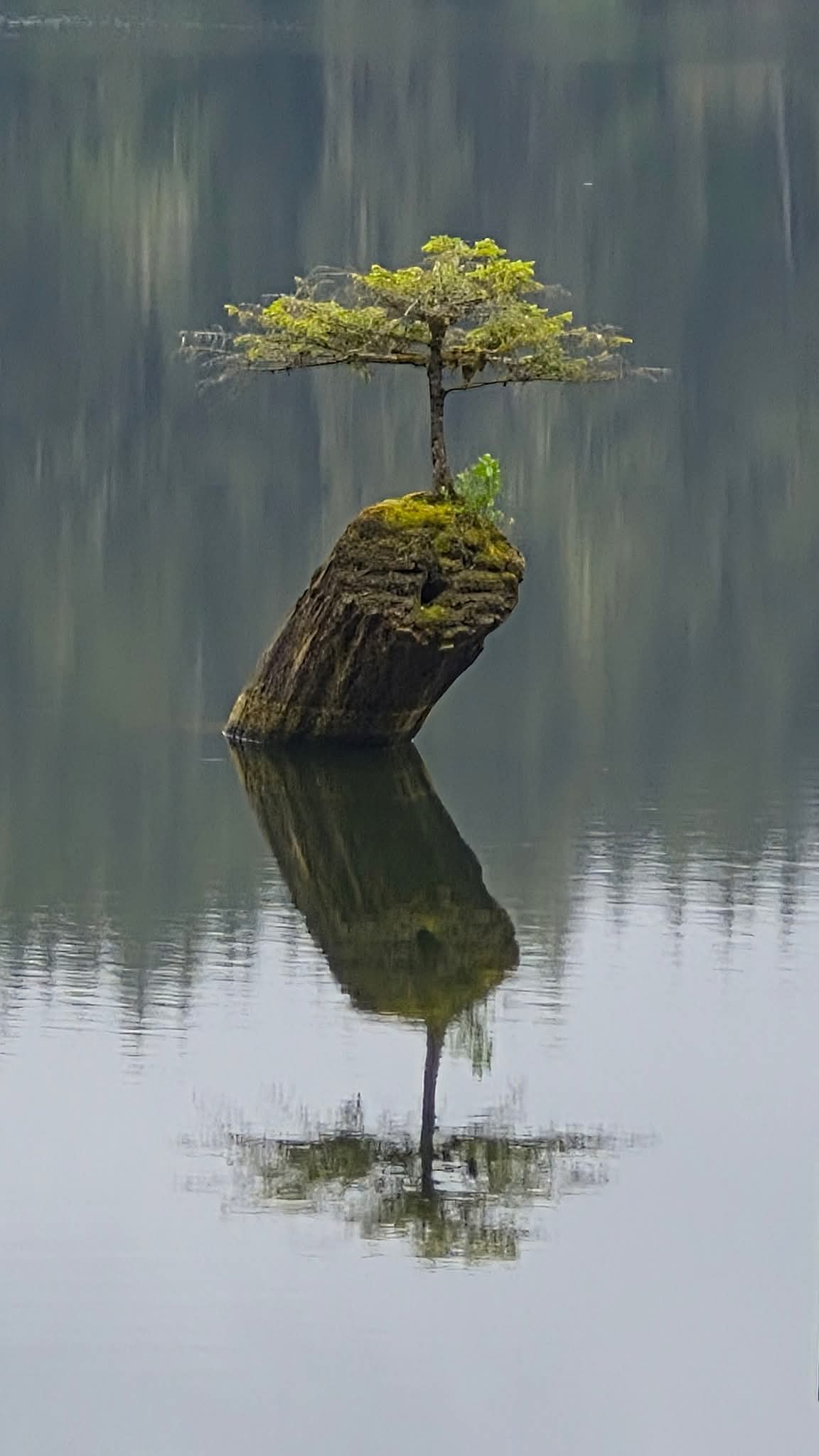 1000066730.jpg