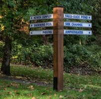 ʱ������