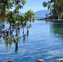 ����ůů��ɳ̲