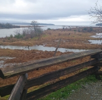 ����Ҳ�к�����