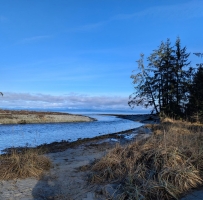 û���ŵ�һ������