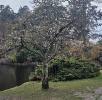 ����ļ��ڻ�δ���������Ѿ�������